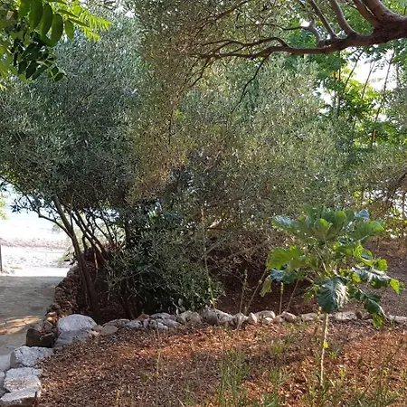 Beach Apartments Villa Holiday شقة Živogošće