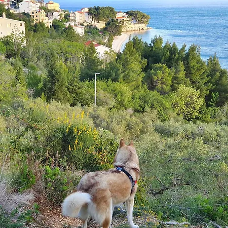 Beach Apartments Villa Holiday * Živogošće